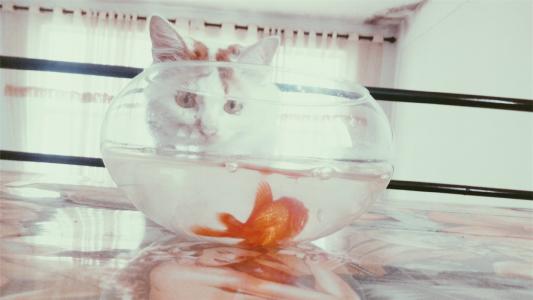 显示人们快乐的英语句子显示人们快乐的英语句子