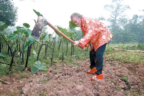 看到空巢老人的悲伤句子2