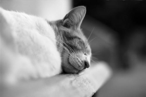 显示人们快乐的英语句子显示人们快乐的英语1