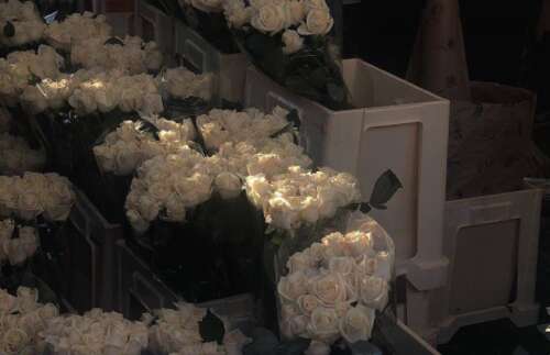 突然悲伤的句子，一个句子接一个句子