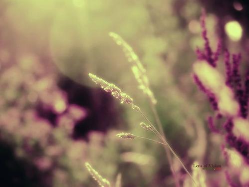 关于家庭或感情和室温的句子1