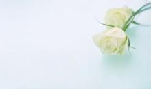 有关家庭或亲情的句子与室温