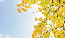 正能量满满的生活感悟 感悟人生精辟短句