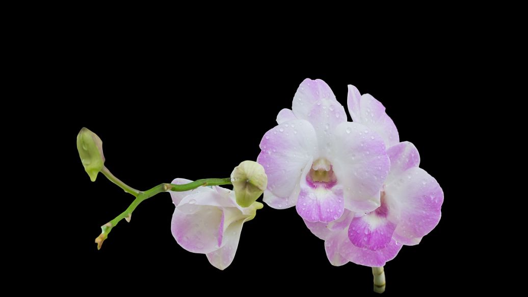 关于家庭的英文短句