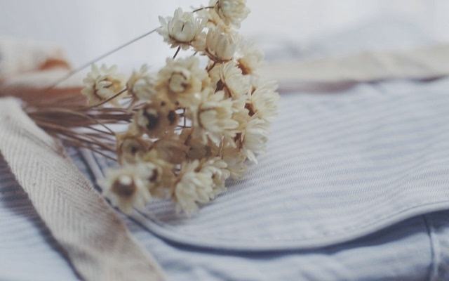 短暂而辉煌的个性签名1