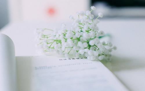 短暂而辉煌的个性签名2