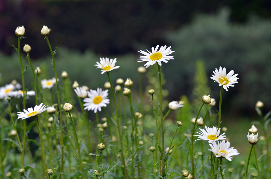 过于冲动表示遗憾的句子2