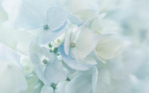 完整的家庭短句集