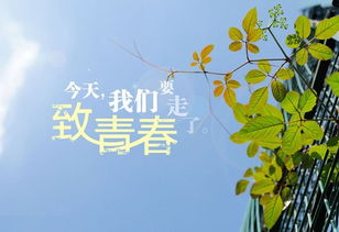 短期毕业个性签名1