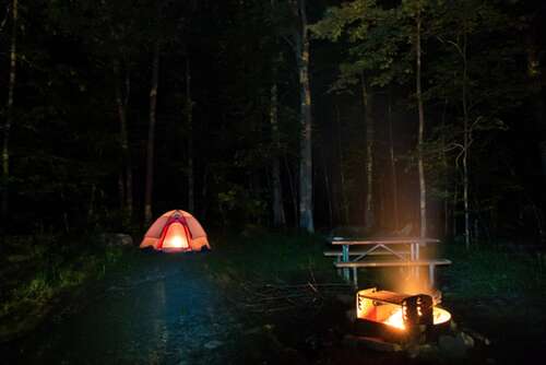 快乐生动的短句1