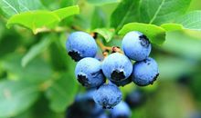 挚爱亲情简短句子