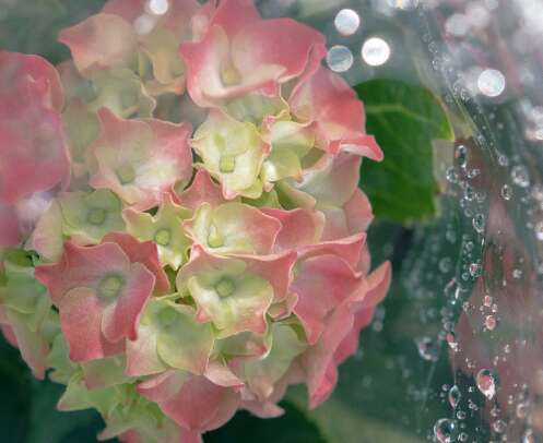 尴尬和令人耳目一新的句子，不脏的尖锐句子的完整列表2