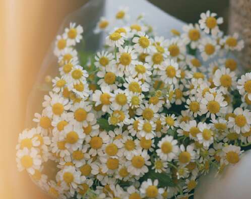 尴尬的句子，不脏的尖锐句子的完整列表，1