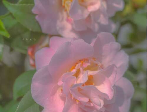 那些肮脏的尖锐和尖锐的句子