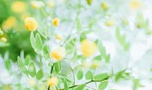 亲情说说句子简短