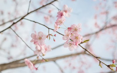 从李嘉诚谈知识时选出的22个哲学句子4