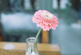 简短的句子描述家庭的爱与美1