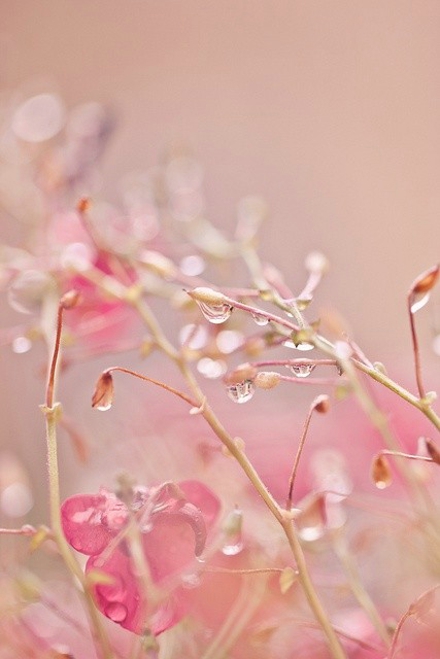 简短的句子描述家庭的爱与美2