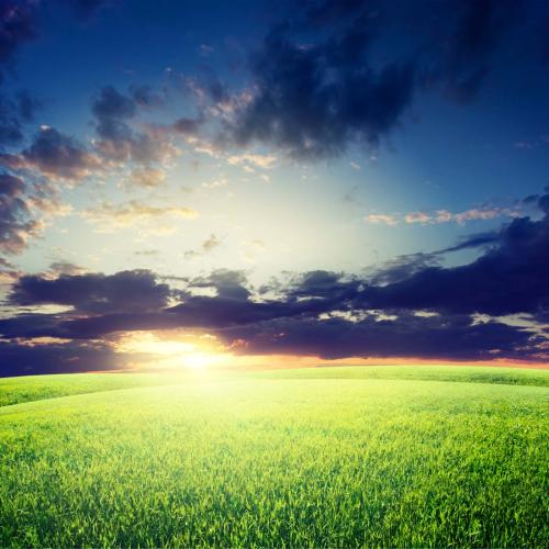 丧失家庭感情的句子令人苦恼2