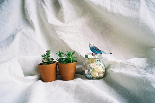 人们高兴时写几句话。 1个