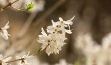 同事不开心鼓励她的句子