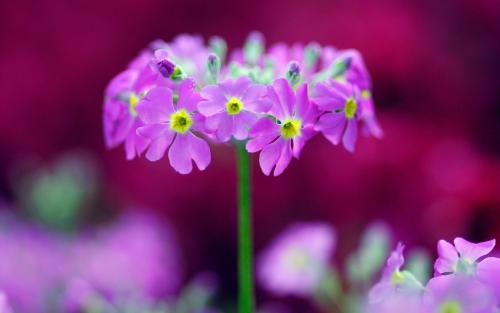 关于家庭关系的简短动人的句子2