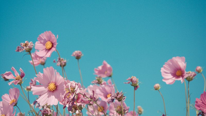 同事很高兴相处