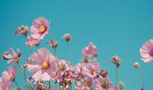 同事开心快乐的句子