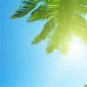 我希望每个人都喜欢
1.同事晚餐