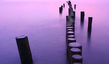 关于人生哲理的句子