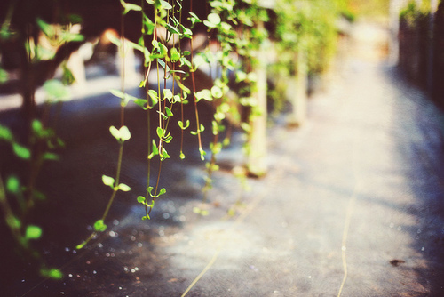 请享受编辑编撰的关于假装快乐的一些句子。简短的句子假装开心。