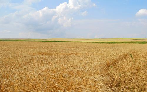 表达你今天快乐的句子