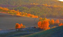 跳舞使人开心的句子 开心跳舞的心情说说