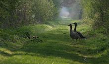 纹身亲情句子简短