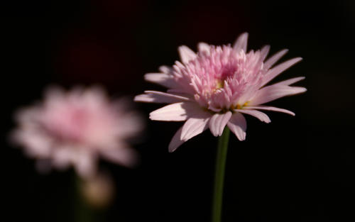 带孩子的快乐句子在假期2