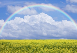 带孩子旅行的疲倦和快乐句子1