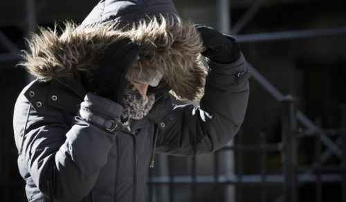 有些叶子受不了冷风的刺痛