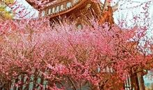 美到窒息的古典诗句 简短有意境