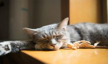 选择开心的句子说说心情