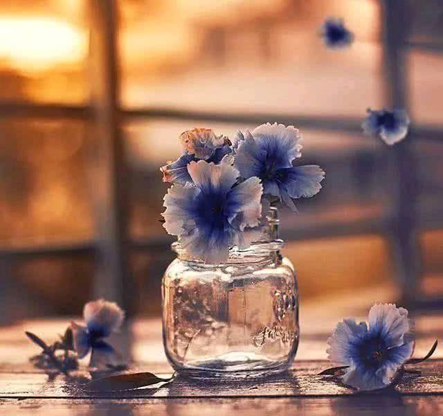 家庭的失望和悲伤的句子