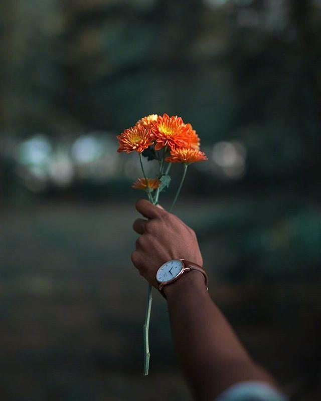 家庭1的失望和悲伤的句子