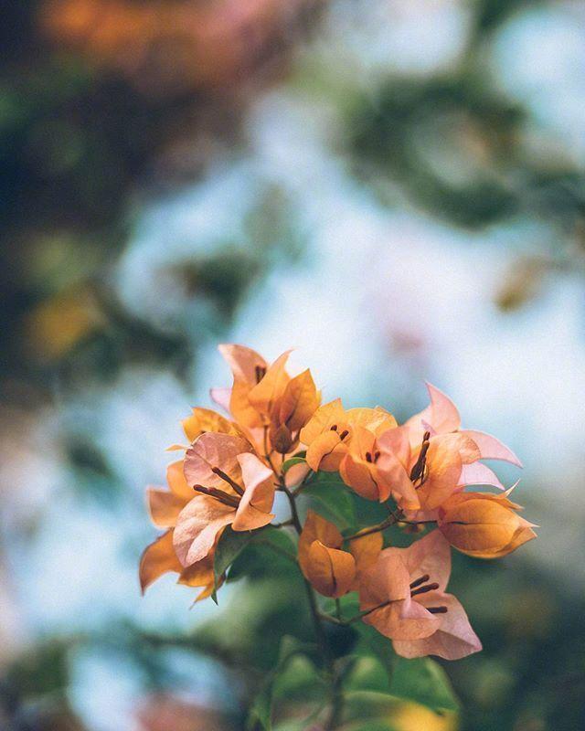 家庭2的失望和悲伤的句子