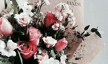 亲情人生感悟的句子简短的