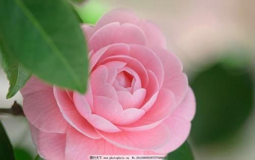 家庭生活情感短句2