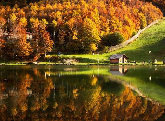 珍惜家人的爱情句子美丽而短暂1