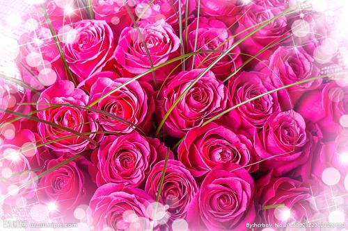 关于家庭的简短而优美的句子