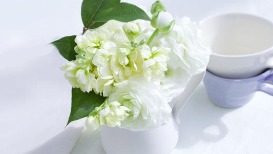 关于家庭关系的简短而优美的句子1