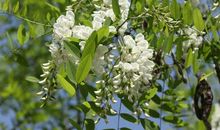 温暖亲情的句子简短