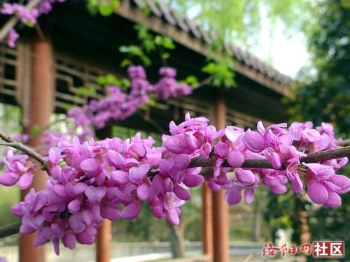 简短而热情的句子1