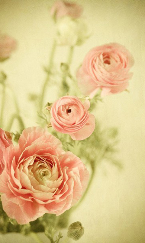 快乐的简短句子